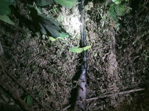 Local Gun loaded with bullets was recovered from a forest in Teliamura Local Gun loaded with bullets was recovered from a forest in Teliamura